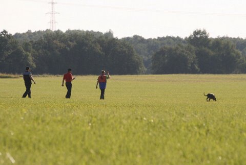 Estonian championship 2007 in IPO 3